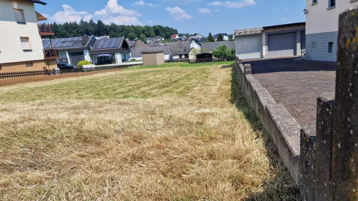 Verwilderten Rasen gemäht – Ergebnis unserer Arbeit