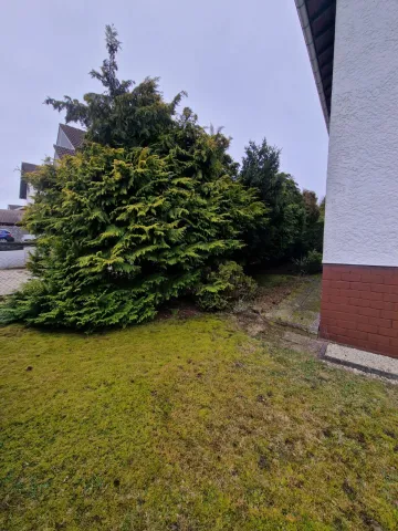 Vorher – Bereich vor der Pflege