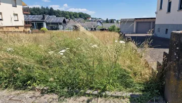 Vorher – Außenbereich vor der Pflege