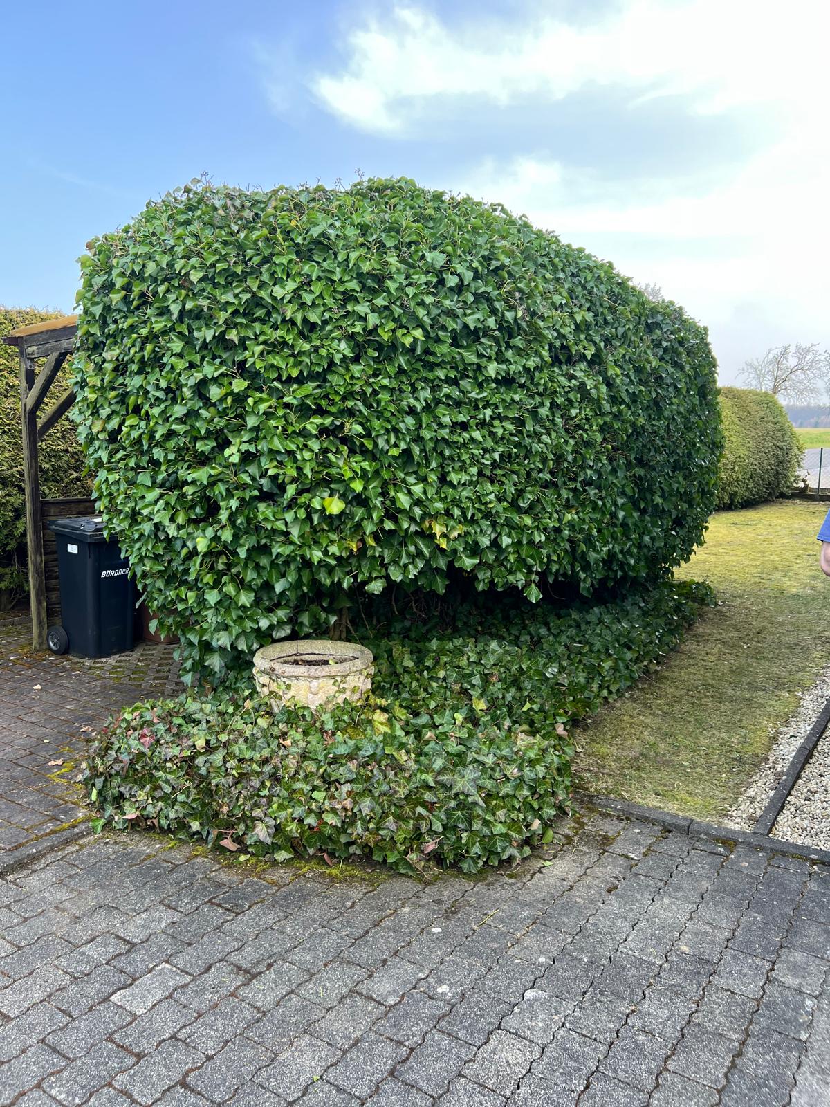 Nachher – Ergebnis nach dem Einsatz