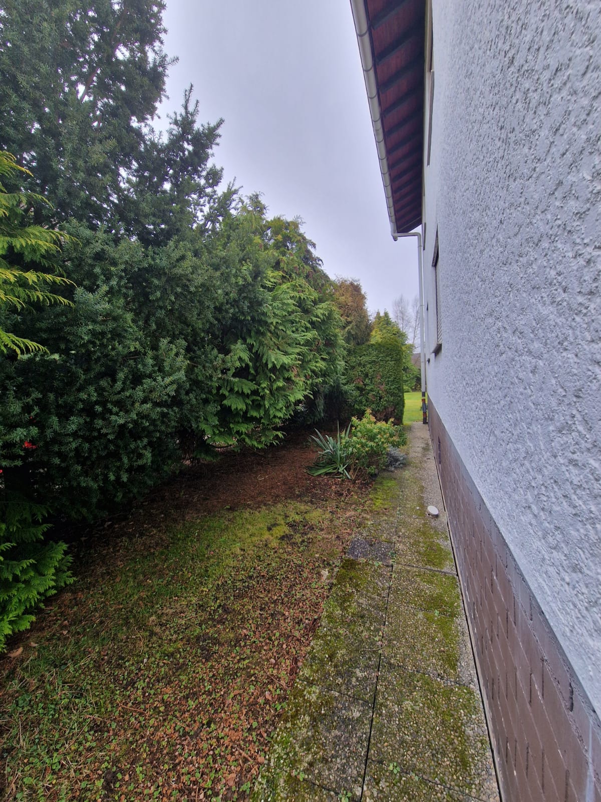 Vorher – Außenbereich vor der Pflege