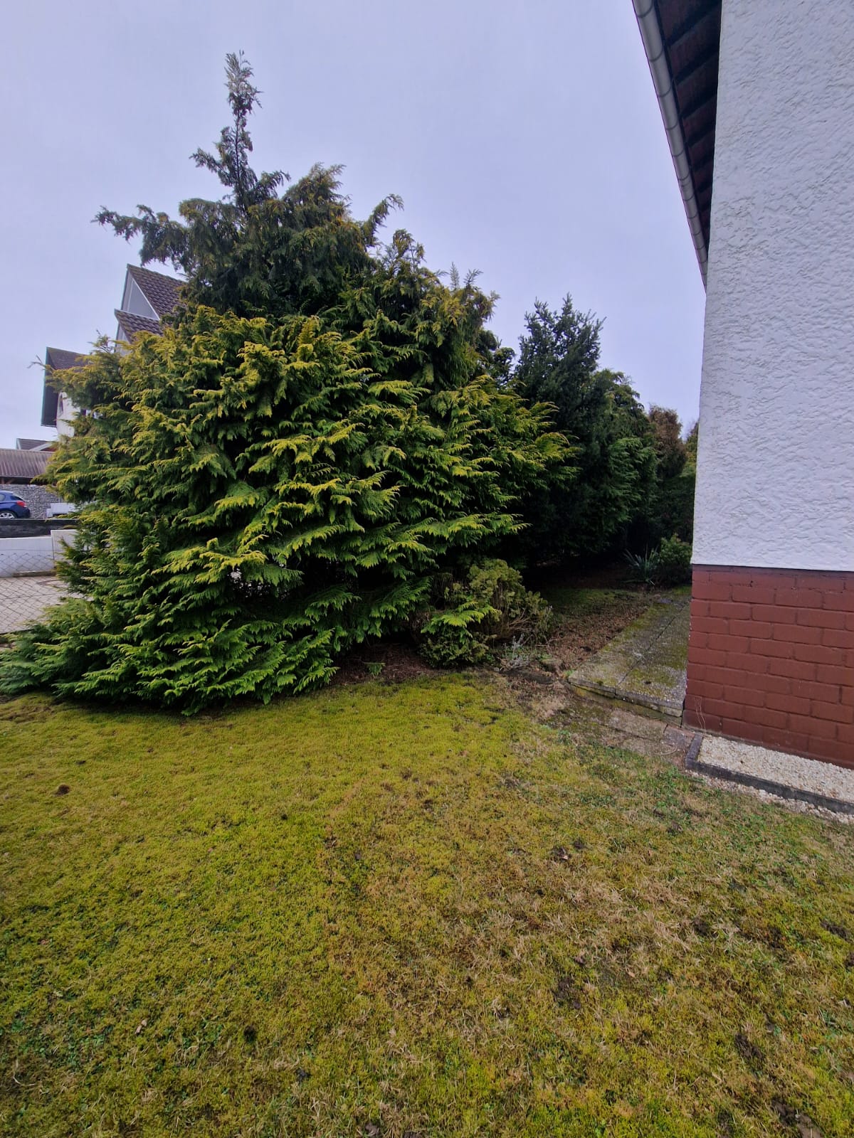 Vorher – Bereich vor der Arbeit